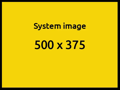 System image 500x375